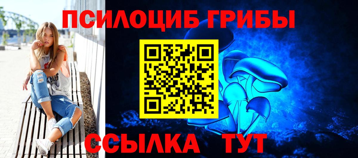 Псилоцибиновые грибы Cubensis Санкт-Петербург