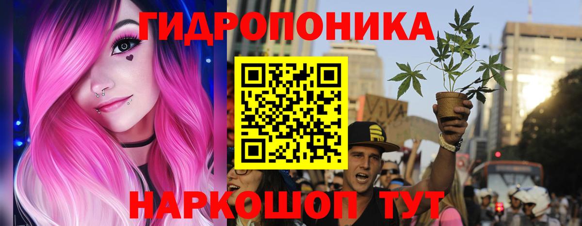 Бошки Шишки план  Конопля MAZAR  Санкт-Петербург  Шишки марихуана OG Kush  Вход с VPN  Конопля THC 21% 